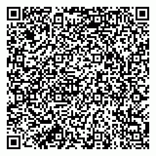 vCard 79913909877