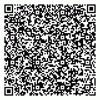 vCard 79913909879