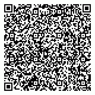 vCard 79913909931