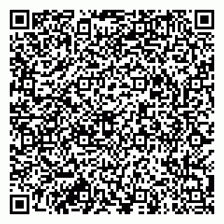 vCard 79913909981
