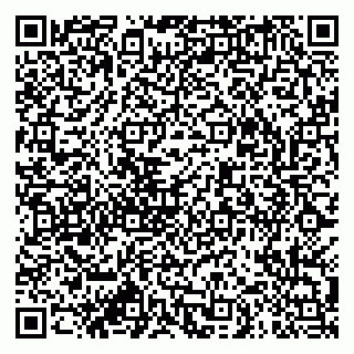 vCard 79913909985