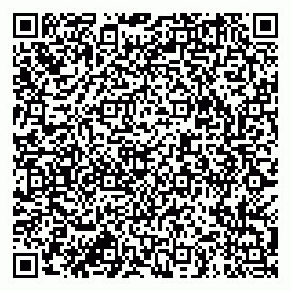 vCard 79913909987