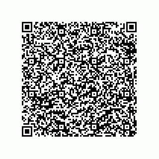 vCard 79913935037
