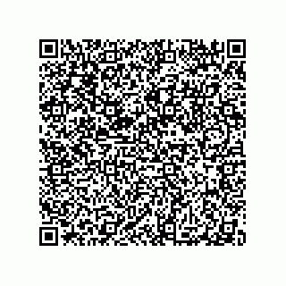 vCard 79913935244