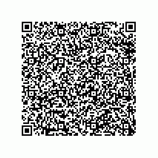 vCard 79913935284