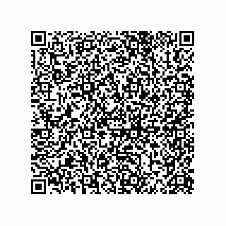 vCard 79913935296