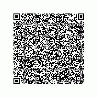 vCard 79913935371