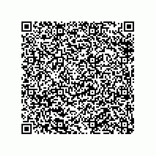 vCard 79913935383