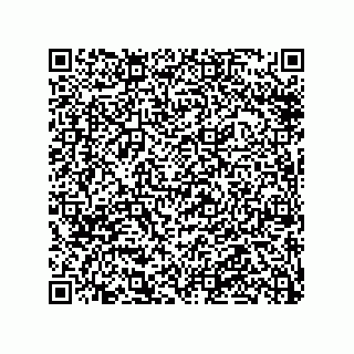 vCard 79913935386