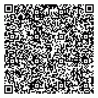 vCard 79914100013