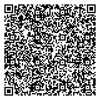 vCard 79914100017