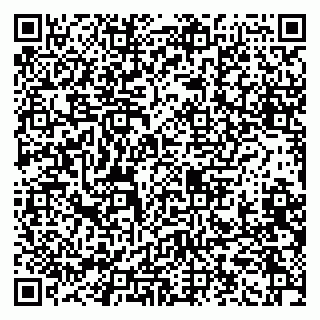 vCard 79914100019