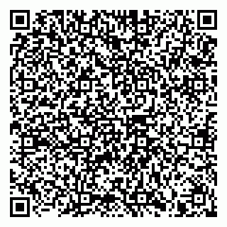 vCard 79914100029