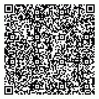 vCard 79914100131