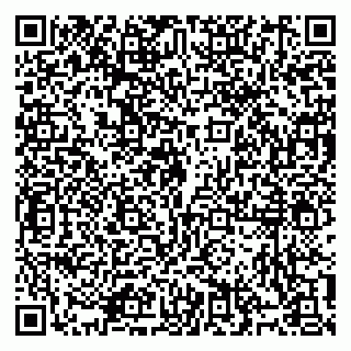 vCard 79914100132