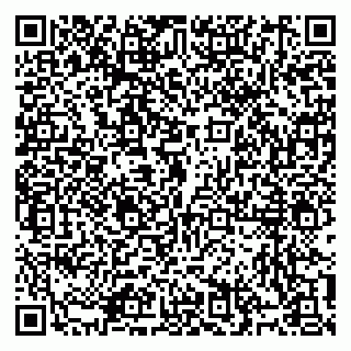 vCard 79914100163