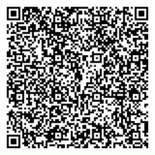 vCard 79914100173