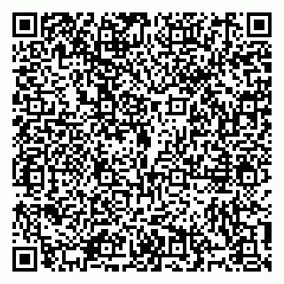 vCard 79914100181