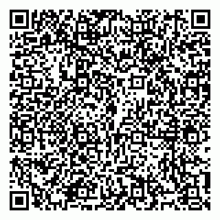 vCard 79914100273