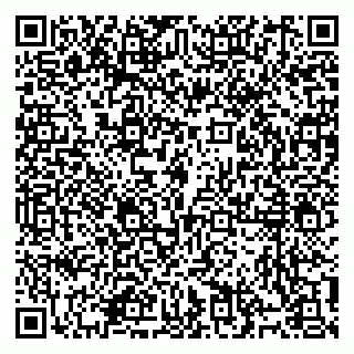 vCard 79914100275