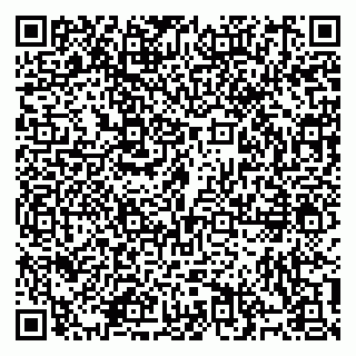 vCard 79914100291
