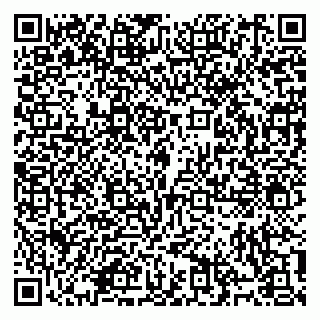 vCard 79914100295