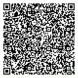 vCard 79914100300
