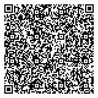 vCard 79914100313