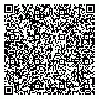 vCard 79914100331