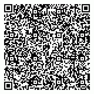 vCard 79914100332