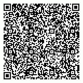 vCard 79914100333