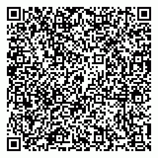 vCard 79914100335