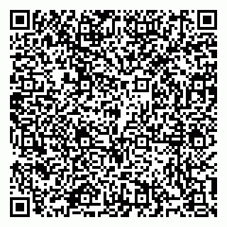 vCard 79914100378