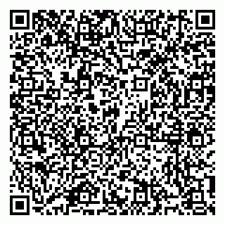 vCard 79914100379