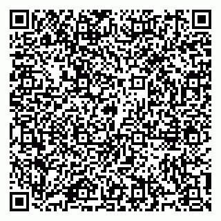 vCard 79914100380