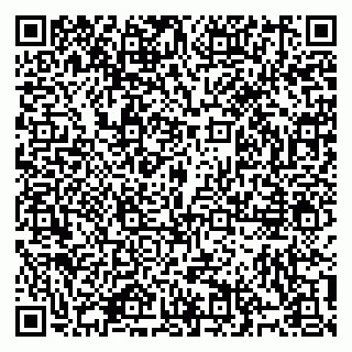 vCard 79914100381
