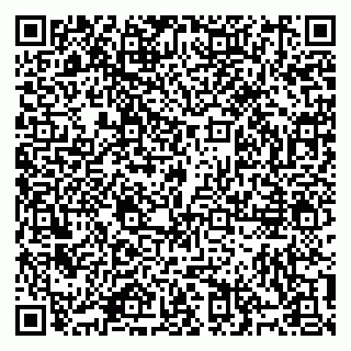vCard 79914100386