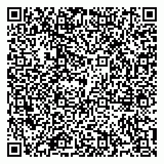 vCard 79914100387