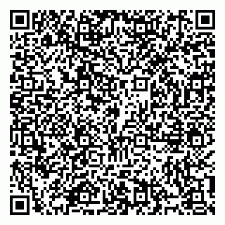 vCard 79914100388