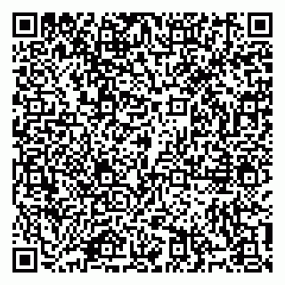 vCard 79914100389