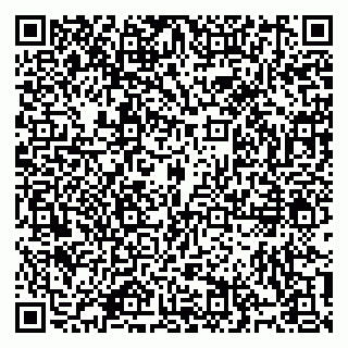 vCard 79914100393