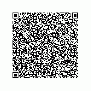 vCard 79914987548