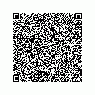 vCard 79914987600