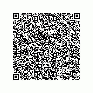 vCard 79914987621