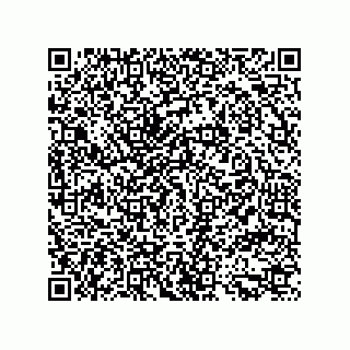 vCard 79914987633
