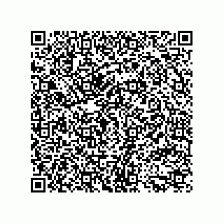 vCard 79914987690