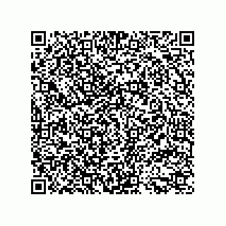 vCard 79914987731