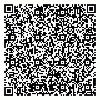 vCard 79920305839