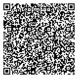 vCard 79920309039