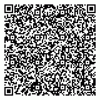 vCard 79925002739